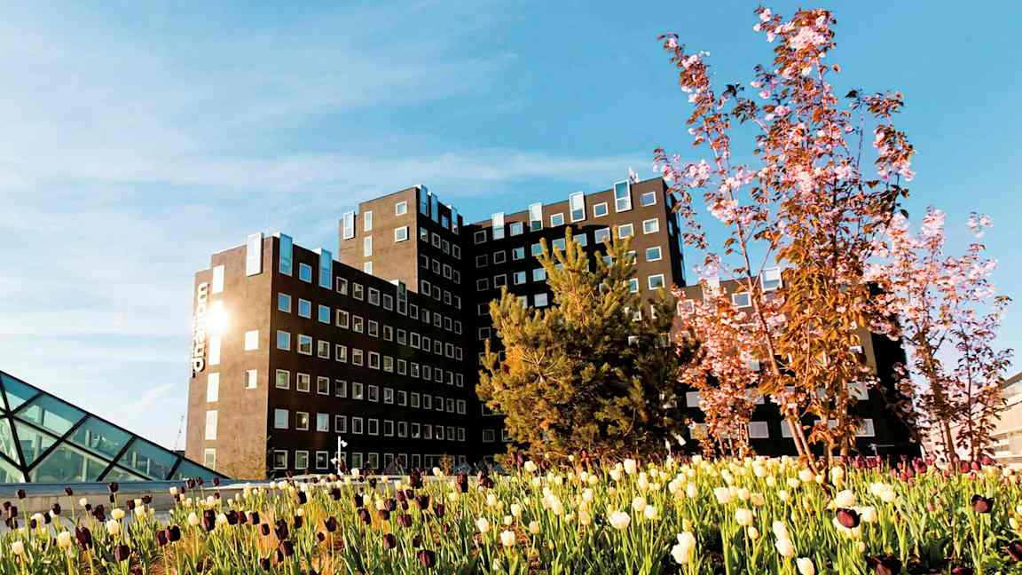 Rakennus, jossa on nykyaikaisia ikkunoita ja ympärillä kukkivia puita ja tulppaaneja sinisen taivaan alla. (Tekoälyn luoma teksti)