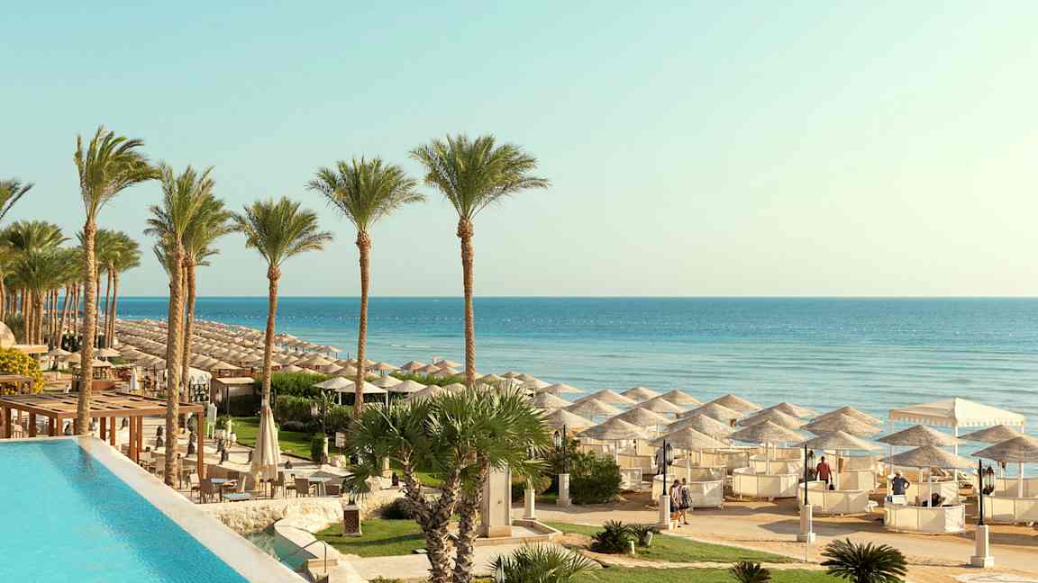 Palmupuita rannalla, jossa on aurinkovarjoja ja kirkas sininen vesi. (Tekoälyn luoma teksti)