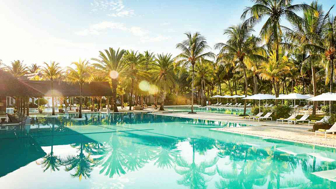 Uima-allas, jota ympäröivät lepotuolit ja palmut. (Tekoälyn luoma teksti)