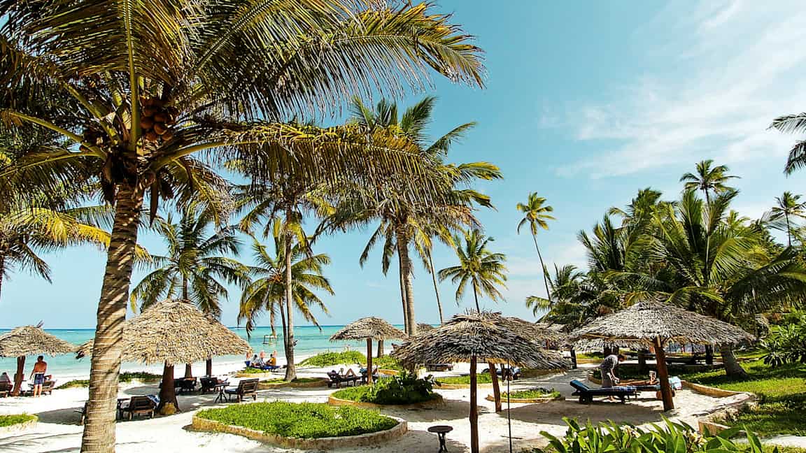 Ranta kookospalmujen, aurinkovarjojen ja aurinkotuolien kanssa sinisen taivaan alla. (Tekoälyn luoma teksti)