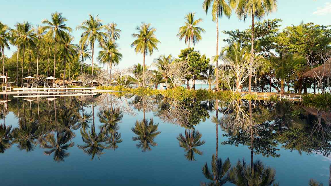 Uima-allas, jossa palmuja heijastuu veteen. (Tekoälyn luoma teksti)