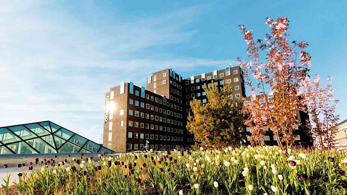 Rakennus, jossa on paljon ikkunoita, ympäröitynä vihreällä alueella, jossa kukkivia tulppaaneja ja puita. (Tekoälyn luoma teksti)