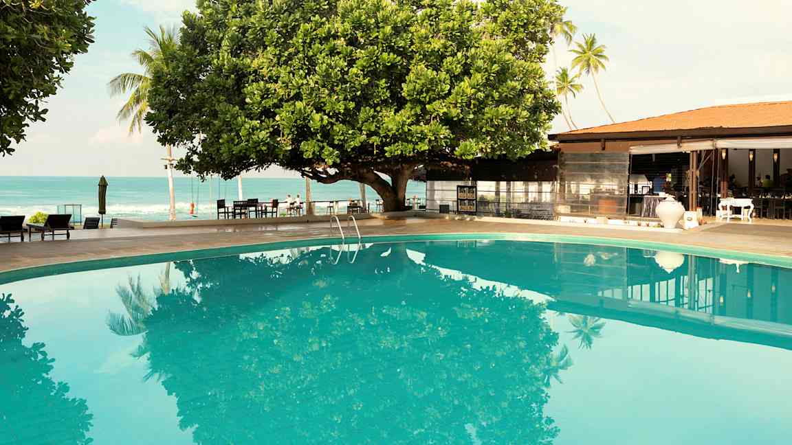 Uima-allas suuren puun vieressä, taustalla meri ja rakennus. (Tekoälyn luoma teksti)