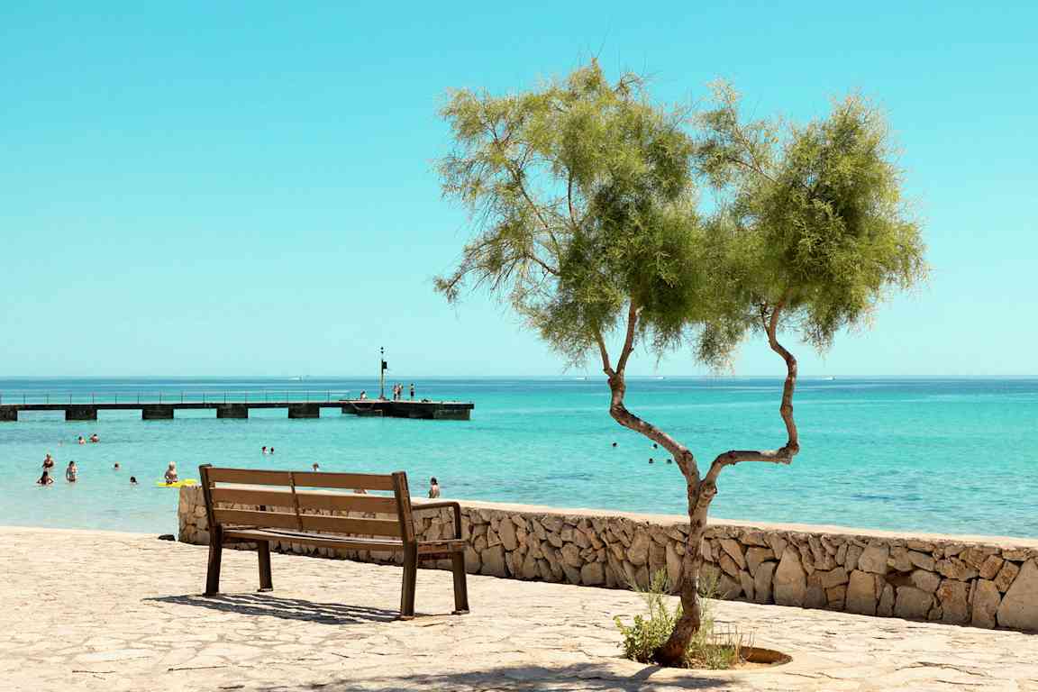 Parkkipenkki kivimuurin vieressä, yksinäinen puu etualalla ja ihmisiä uimassa meressä laituri taustalla. (Tekoälyn luoma teksti)