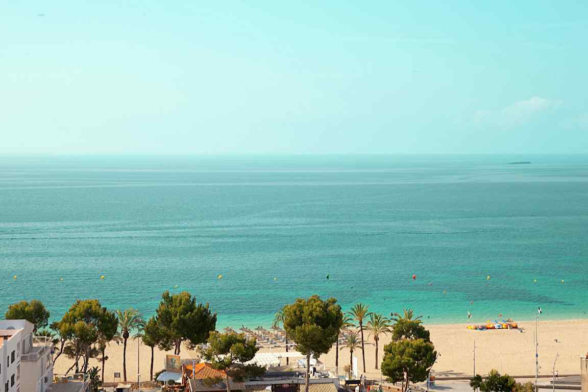 Näkymä rannalle, jossa on hiekkaa, puita ja meri. (Tekoälyn luoma teksti)