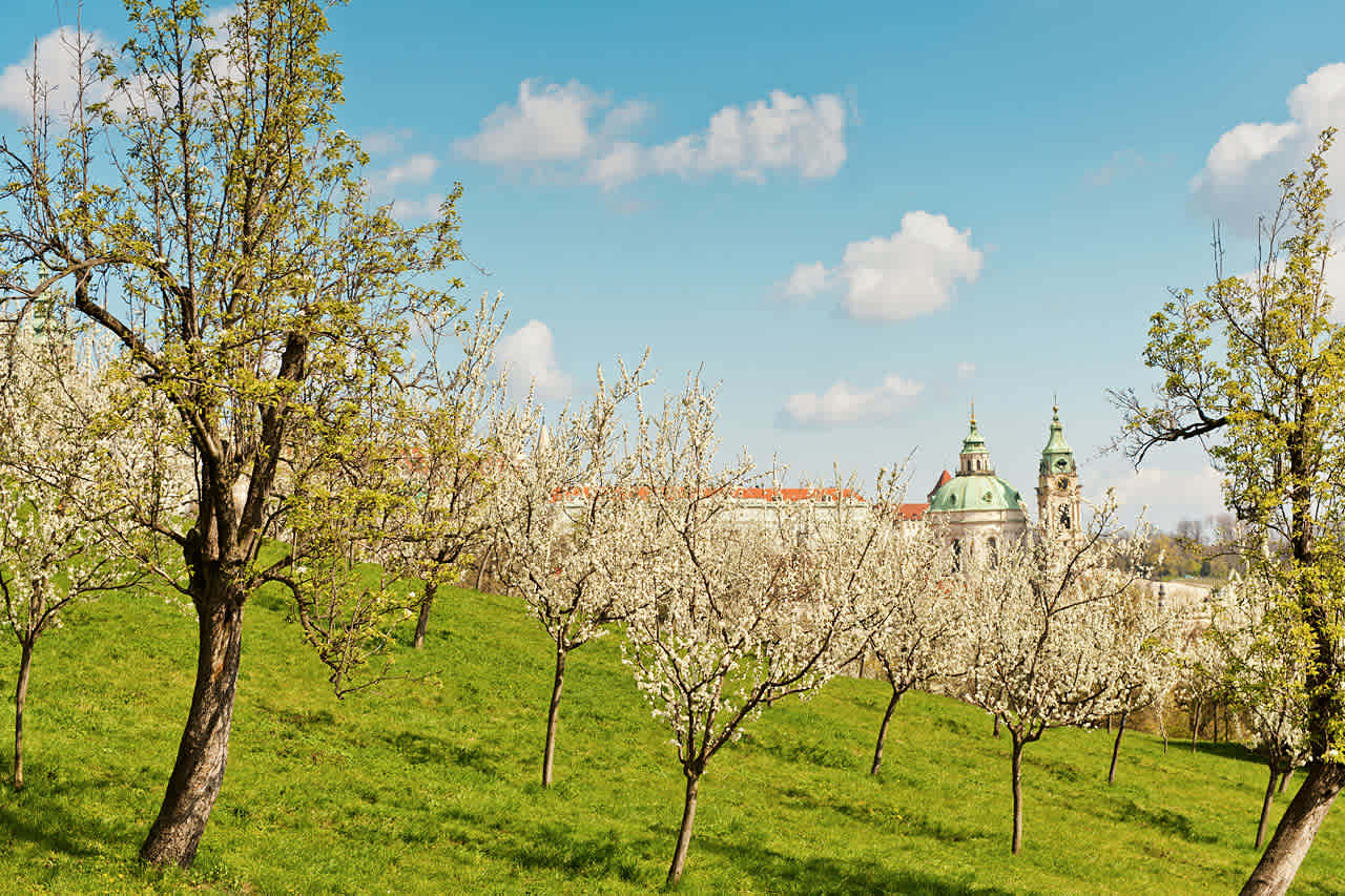 Praha