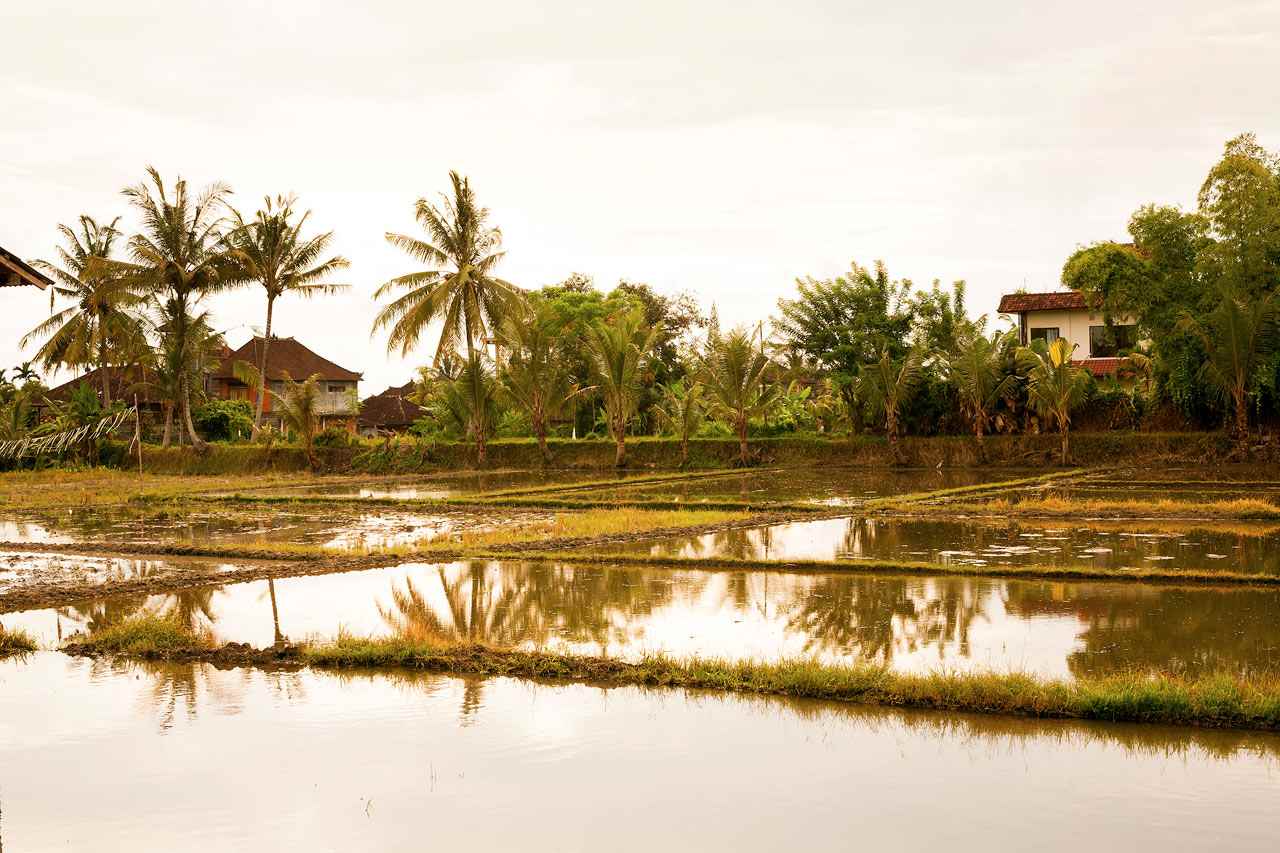 Ubud, Bali