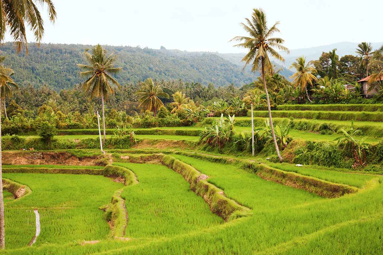 Ubud, Bali