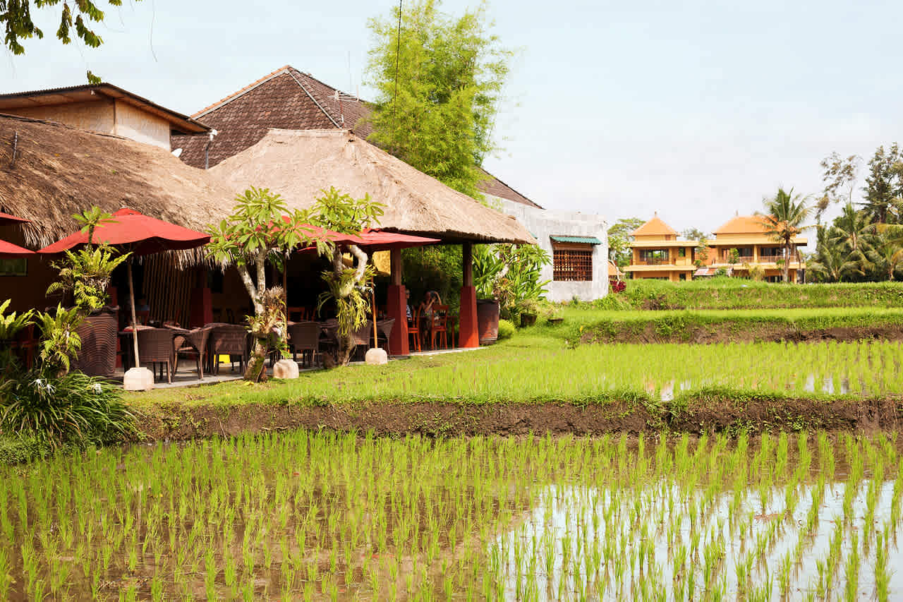 Ubud, Bali