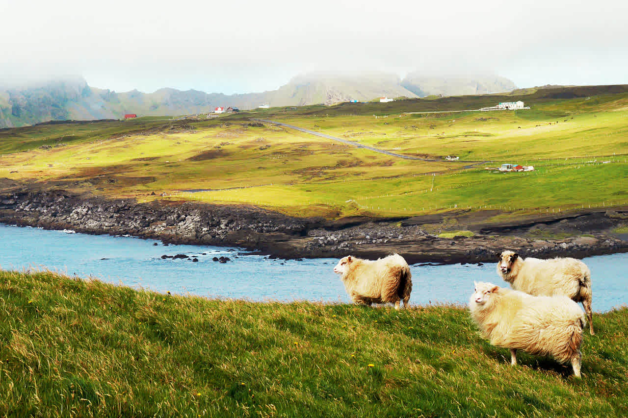 Heimaey, Vestmannaeyjar