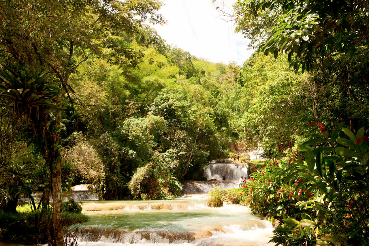 Black River, YS Falls