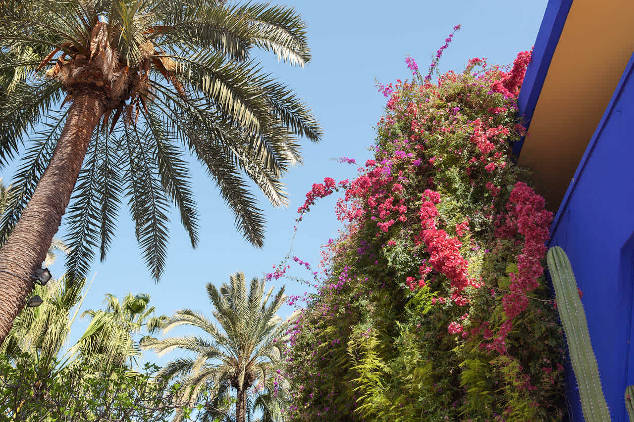 Jardin Majorelle, Marrakechissa