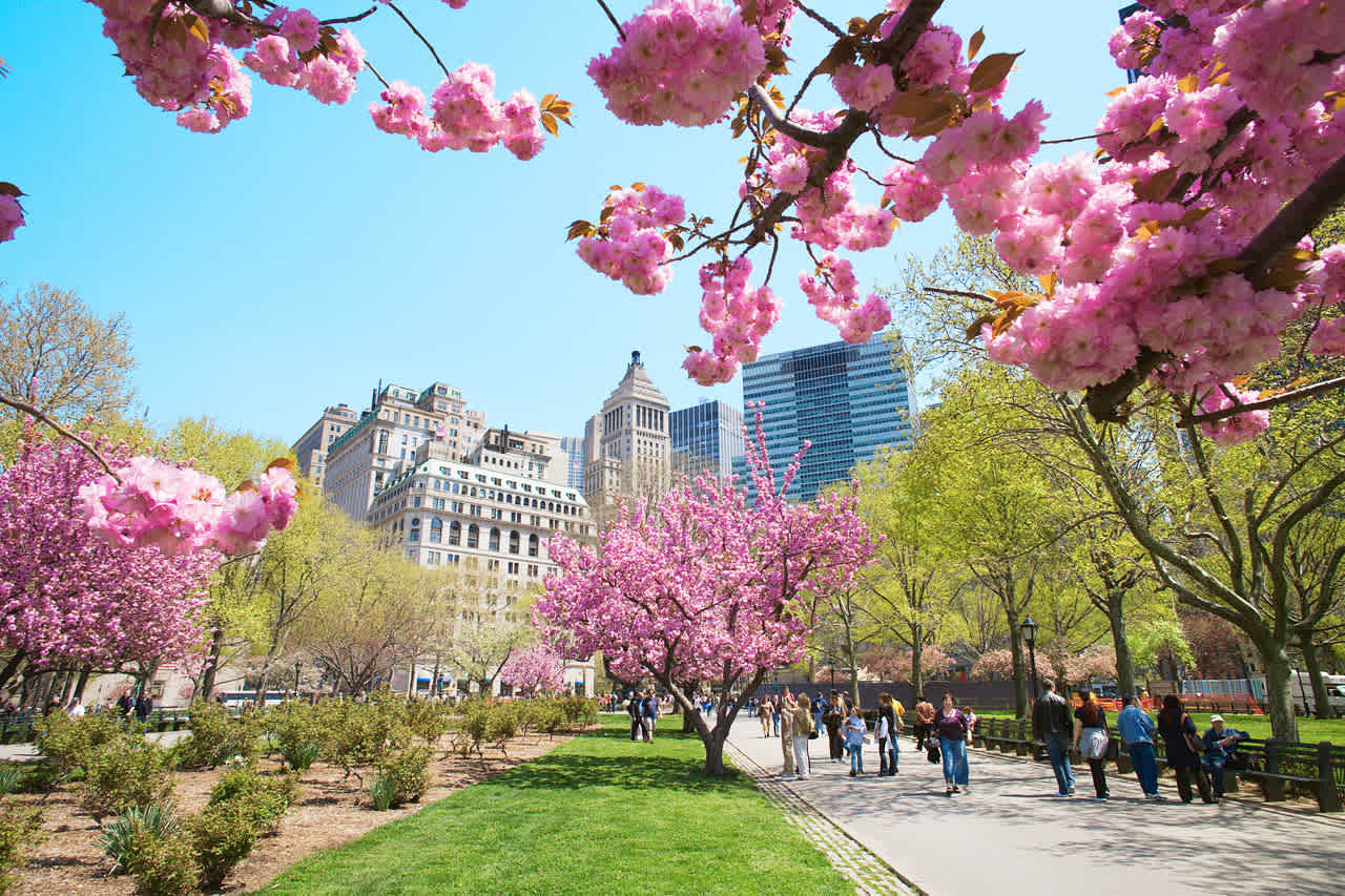 New York