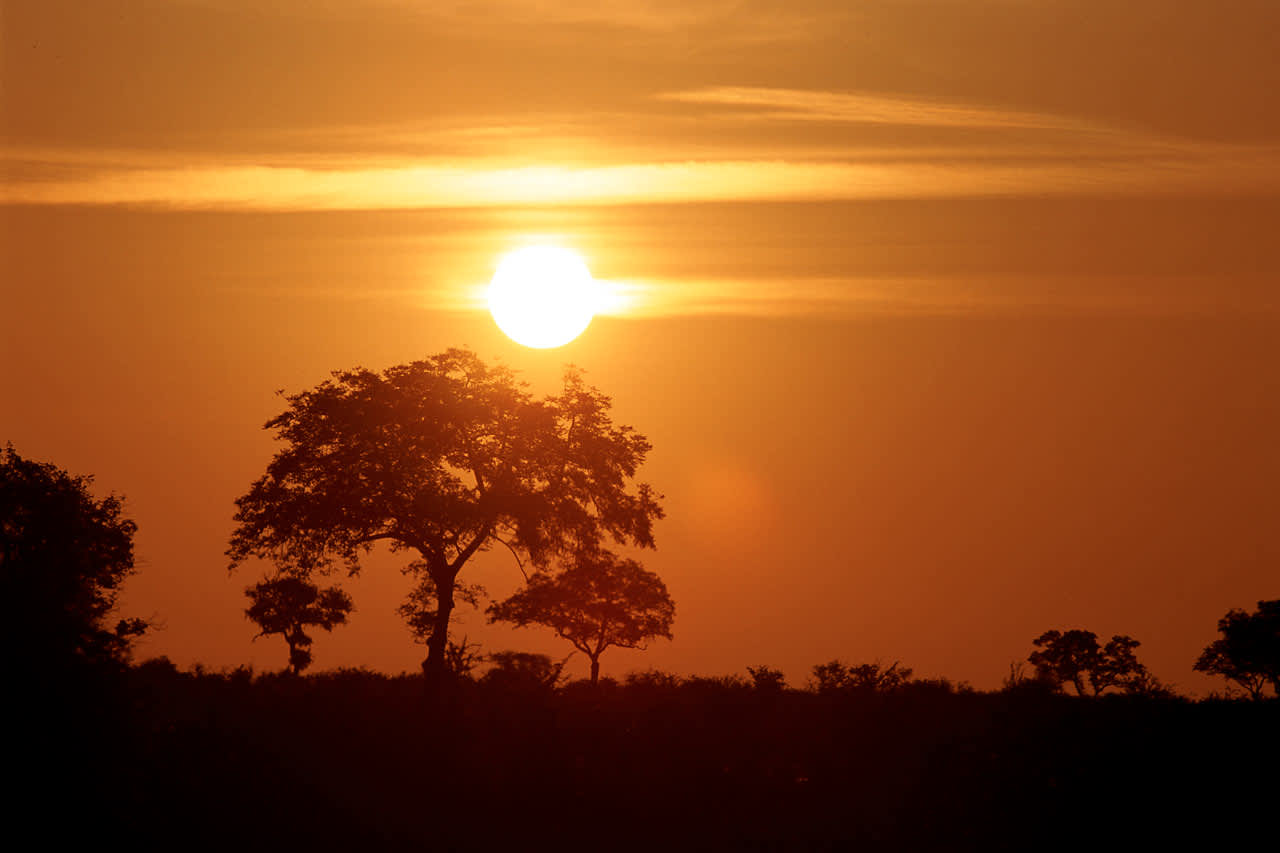 Krugerin luonnonpuisto