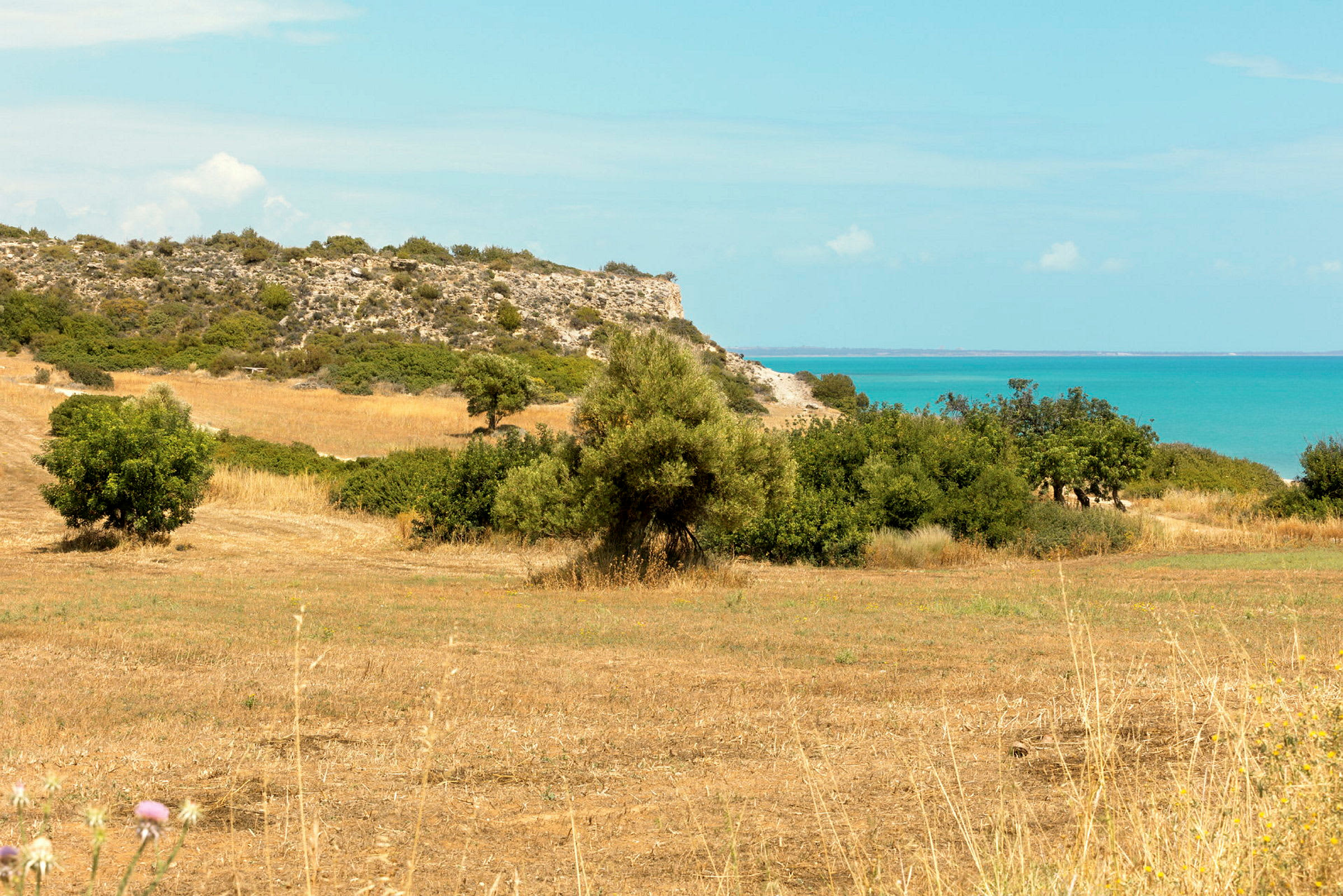 Pissouri