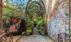 Kujanne katetun käytävän ja kasvien kanssa sekä graffitiin merkitty tiiliseinä. (Tekoälyn luoma teksti)