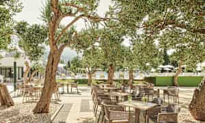 Ulkoilmaravintola oliivipuiden ympäröimänä, pöytiä ja tuoleja. (Tekoälyn luoma teksti)