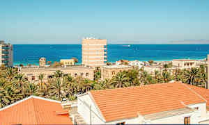 Näkymä rakennuksista, joissa on punaiset katot, palmuja ja sininen meri taustalla. (Tekoälyn luoma teksti)