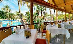 Ulkoterassi, jolta on näkymä altaalle ja ympäröiviin palmuihin. (Tekoälyn luoma teksti)