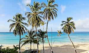 Palmupuita hiekkarannalla, taustalla kirkkaansininen meri. (Tekoälyn luoma teksti)