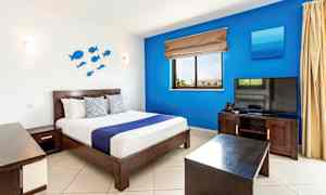 Kahden hengen huone / Kahden hengen huone - kampanjahinta