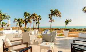 Terassi istuimilla, palmuja ja näkymä merelle. (Tekoälyn luoma teksti)