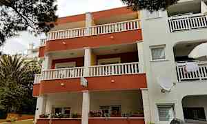 Kerrostalo parvekkeilla ja ikkunoilla, ympärillä kasveja. (Tekoälyn luoma teksti)