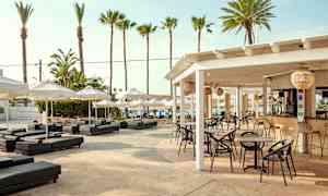 Ulkoterassi, jossa pöytiä ja tuoleja valkoisen katon alla, ympärillä aurinkotuoleja ja aurinkovarjoja. Taustalla näkyy palmuja ja sininen taivas. (Tekoälyn luoma teksti)