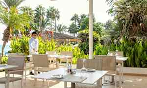 Ulkoterassi, jossa on pöytiä ja tuoleja, vehreyden ja palmujen ympäröimänä. (Tekoälyn luoma teksti)