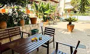 Terassi puutarhakalusteilla, ruukkukasveilla ja vihreillä banaanipuilla. (Tekoälyn luoma teksti)