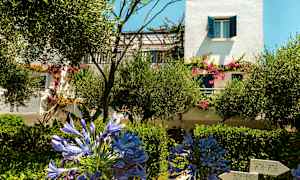 Valkoinen rakennus, jossa on siniset ikkunaluukut ja kukkivat kasvit puutarhassa. (Tekoälyn luoma teksti)