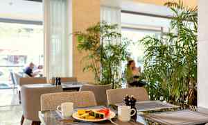 Kahvila, jossa pöydiltä löytyy hedelmälautasia, kuppeja ja mausteastioita, ympärillä vihreää kasvillisuutta. (Tekoälyn luoma teksti)