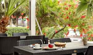 Ulkopöytä, jossa aamiaisruokaa ja kukkaruukku vehreässä ympäristössä. (Tekoälyn luoma teksti)