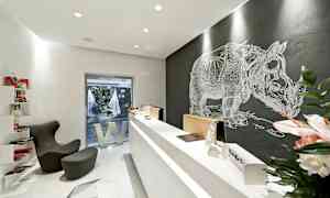 Moderni toimisto minimalistisella suunnittelulla, vastaanotto ja seinämaalaus sarvikuonosta. (Tekoälyn luoma teksti)