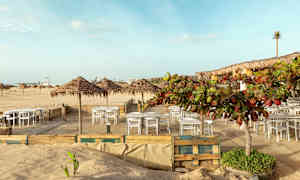 Ulkoterassi, jossa pöytiä ja tuoleja hiekkapohjalla, ympärillä palmukattoja ja kasvillisuutta rannalla. (Tekoälyn luoma teksti)