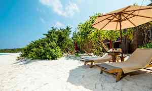 Aurinkotuoleja hiekkarannalla, jossa on varjo ja kasvillisuutta. (Tekoälyn luoma teksti)