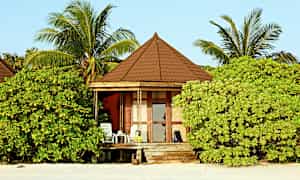 Rantamökki, jota ympäröivät vehreät kasvit ja palmut. (Tekoälyn luoma teksti)