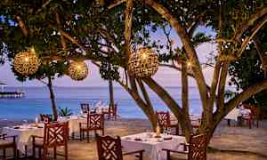 Ulkoravintola, jossa ruokapöydät puiden alla lyhtyjen kera, meren äärellä. (Tekoälyn luoma teksti)