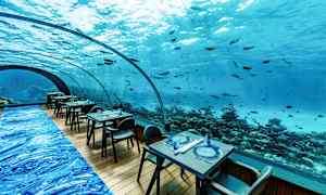 Vedenalainen ympäristö ravintolassa, jossa pöydät ja tuolit on asetettu ison, kaarevan ikkunan eteen merinäkymällä ja kaloilla. (Tekoälyn luoma teksti)