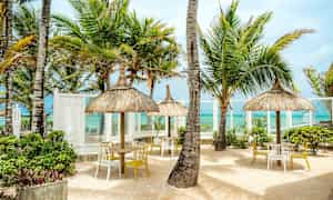 Rantamiljöö, jossa on palmuja, olkikattoisia aurinkovarjoja ja pöytiä tuoleineen. (Tekoälyn luoma teksti)