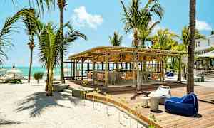 Rantabaari, jossa on palmuja ja istumapaikkoja puualustalla. (Tekoälyn luoma teksti)