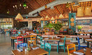 Ravintolan sisustus, jossa on värikkäitä tuoleja ja pöytiä, riippuvaloja ja kasveilla koristelua. (Tekoälyn luoma teksti)