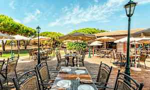 Ulkoilmaterassi, jossa on pöytiä, tuoleja ja pyöreitä varjostimia kirkkaan sinisen taivaan alla. (Tekoälyn luoma teksti)