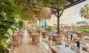 Kuva kauniisti sisustetusta ulkoravintolasta, jossa on puupöytiä ja rottinkituoleja, vehreyden ja palmujen ympäröimänä. (Tekoälyn luoma teksti)