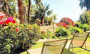 Lepotuoleja nurmikolla, jota ympäröivät värikkäät kukat ja palmut. (Tekoälyn luoma teksti)