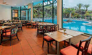 Sisäravintola, josta on näkymä altaalle ja ympäröiviin palmuihin suurten ikkunoiden läpi. (Tekoälyn luoma teksti)