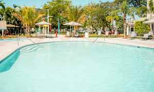 Ulkouima-allas, jota ympäröivät aurinkotuolit ja palmut. (Tekoälyn luoma teksti)