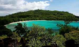 Vehreä rantaviiva turkoosin meren äärellä. (Tekoälyn luoma teksti)