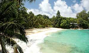 Hiekkaranta, turkoosia vettä ja vihreitä palmuja. (Tekoälyn luoma teksti)