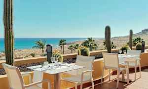 Terassi, jossa on valkoisia tuoleja ja pieniä pöytiä, koristeltu kaktuksilla ja näkymä palmujen, hiekan ja meren yli. (Tekoälyn luoma teksti)